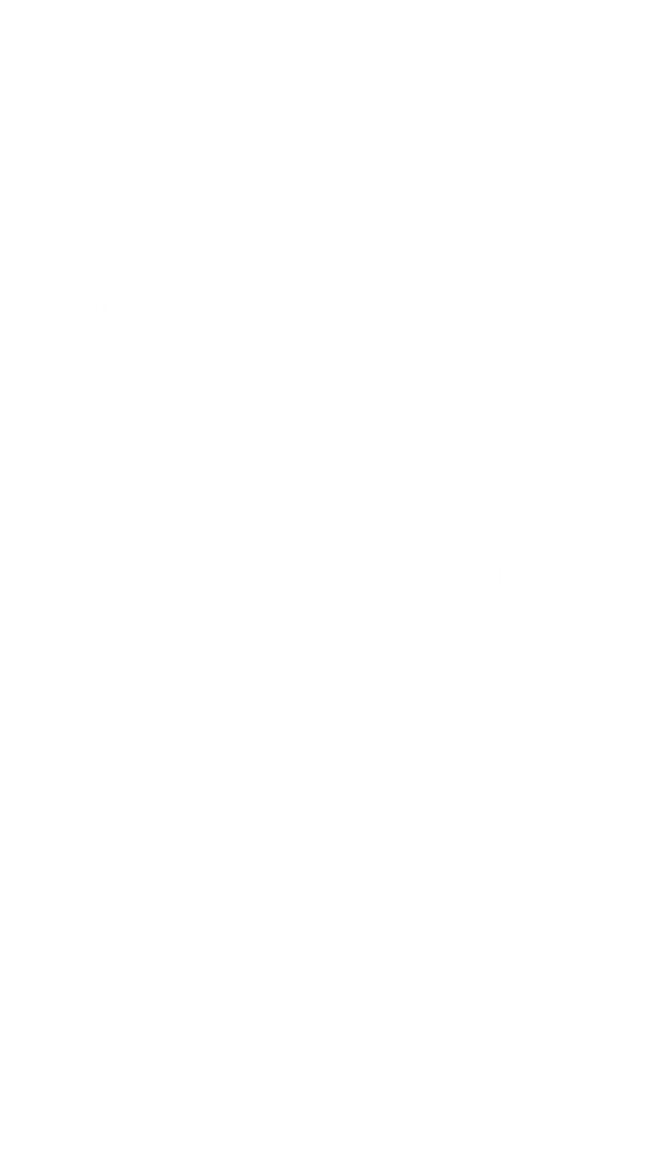 Sailewave